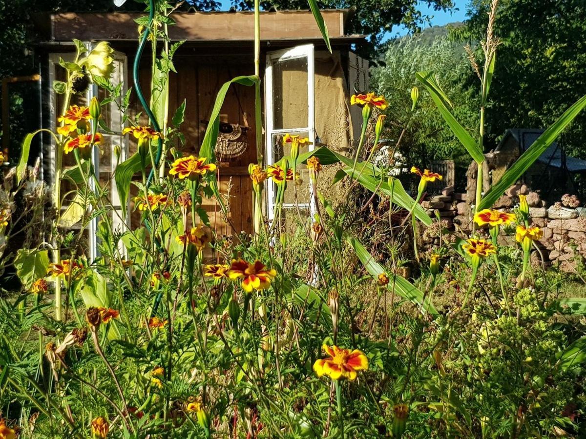 Bed and Breakfast Le Jardin Des Gouttes Rougegoutte Exterior foto